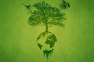 drevo svet